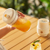 小熊（Bear）榨汁杯 家用便携式榨汁机 水果蔬果汁机 秒碎冰迷你小型果汁杯 LLJ-T03H1 商品缩略图2