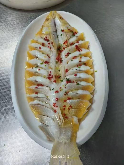 贵妃雪鱼900-1000 商品图3