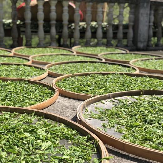 麻粟老枞红茶 商品图2