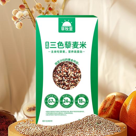 【去皂苷不苦涩】草牧里 三色藜麦 500g*2盒 芽白嫩长粒粒饱满 商品图3