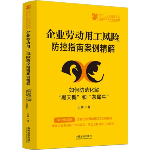 企业劳动用工风险防控指南案例精解:如何防范化解黑天鹅和灰犀牛 商品图0