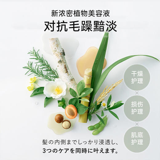 【跨境】BOTANIST蓓甜诗蓬松洗发水牡丹橙花香460ml（效期：2028.06.01） 商品图1