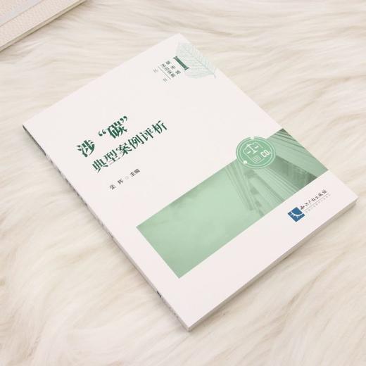 涉碳典型案例评析 商品图1