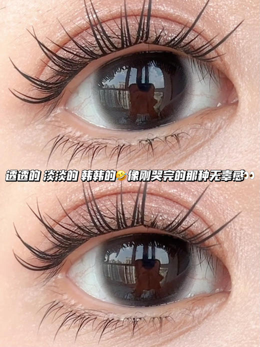 lover 眼底奶油黑·半年抛型 商品图0