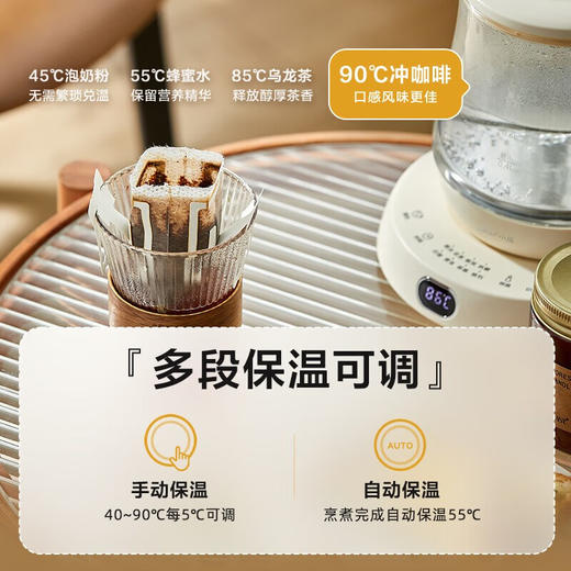 小熊（Bear）迷你养生杯养生壶煮茶器 办公室家用便携煮茶壶恒温烧水壶小型花茶壶0.8升YSH-D08L1 商品图2