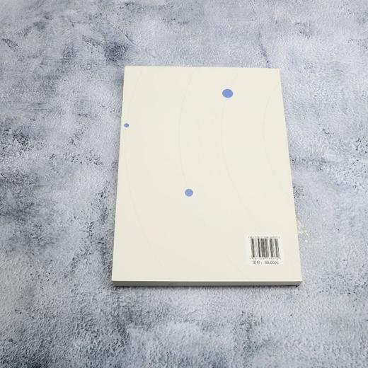 PPP新机制下的项目融资与治理模式研究 商品图2