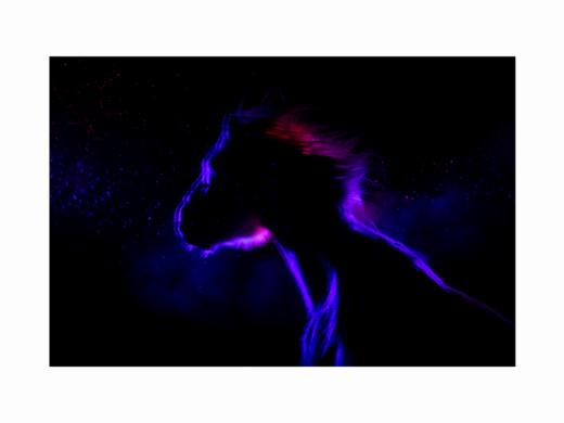 张耕畦丨一马当先 收藏级礼品照片 商品图3