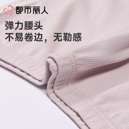 都市丽人打底裤安全裤防走光薄罗纹棉打底裤三分裤舒适打底LLC1A6 商品图5