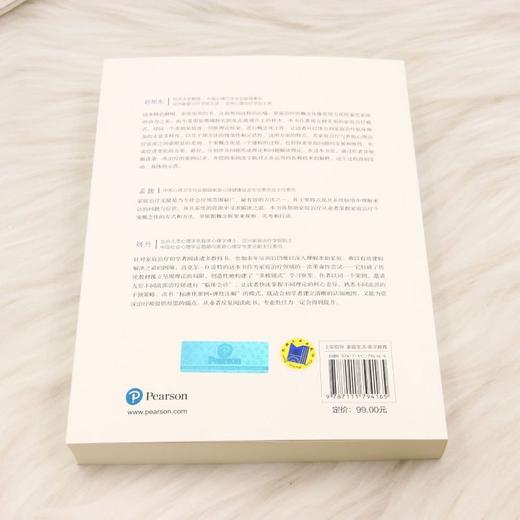 家庭治疗的个案概念化 商品图2