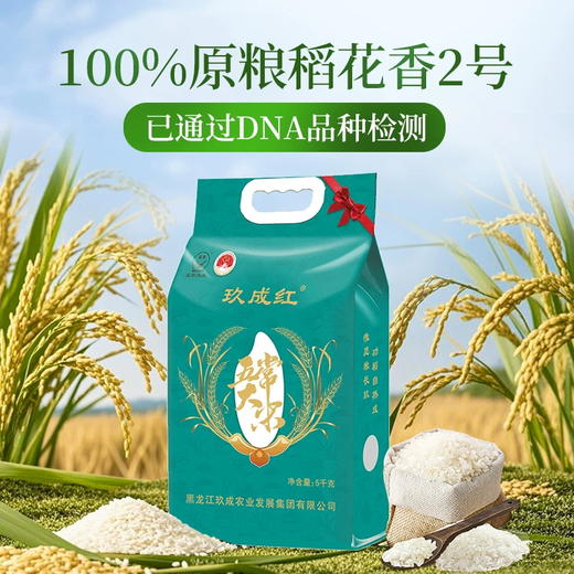 玖成红蓝色高端 纸塑五常大米 商品图0