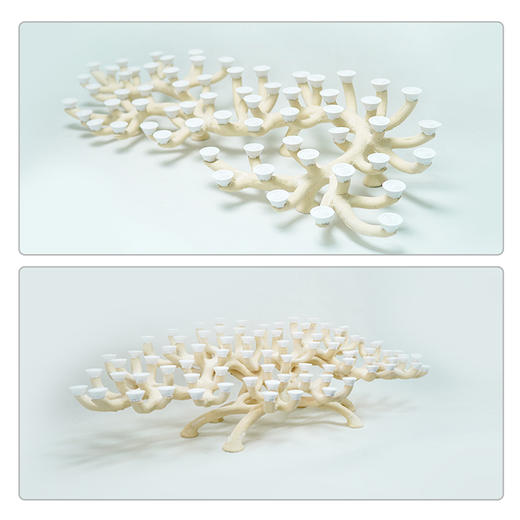 150缸枝状烧制造景 商品图4