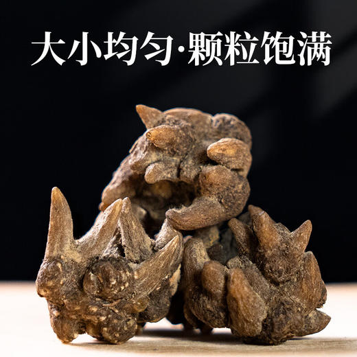 神农金康 猫爪草50g 精选正宗大头猫爪草 足龄猫爪草可搭夏枯草 商品图4