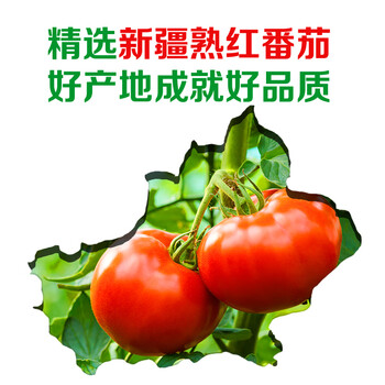 厨邦番茄沙司320g 0脂番茄酱 酸甜酱意面披萨手抓饼薯条沙拉酱 /粮油调味 /调味品 /西式酱料