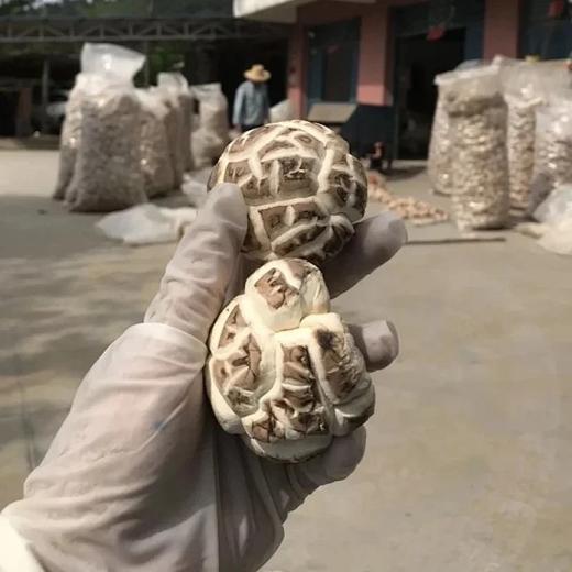 供港花菇，港款雪中冬花菇 拥有素鲍鱼之美誉 深山栎木与山泉水滋养 菇粉厚实 一斤干能泡7-8斤 去菇柄发货基地直邮 商品图1