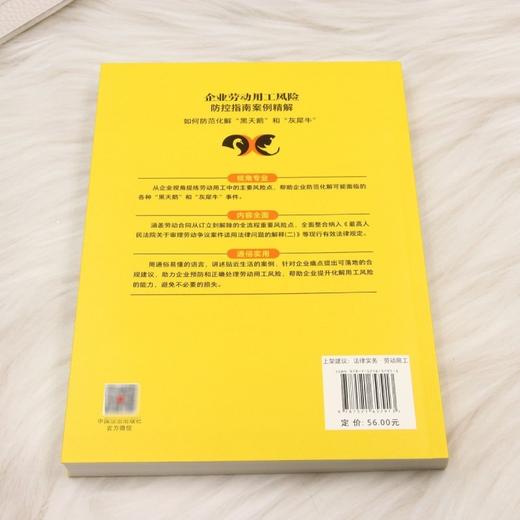 企业劳动用工风险防控指南案例精解:如何防范化解黑天鹅和灰犀牛 商品图2