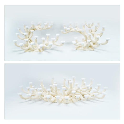 120缸枝状烧制造景 商品图7