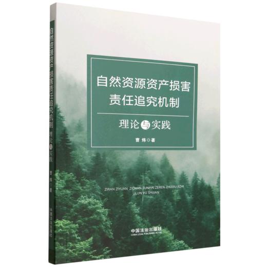 自然资源资产损害责任追究机制:理论与实践 商品图0