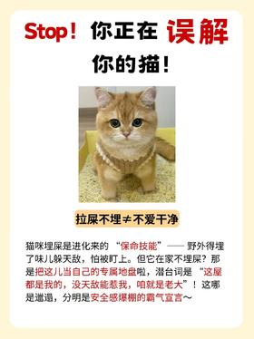 难怪被猫嫌弃！这些误解赶紧避开❌