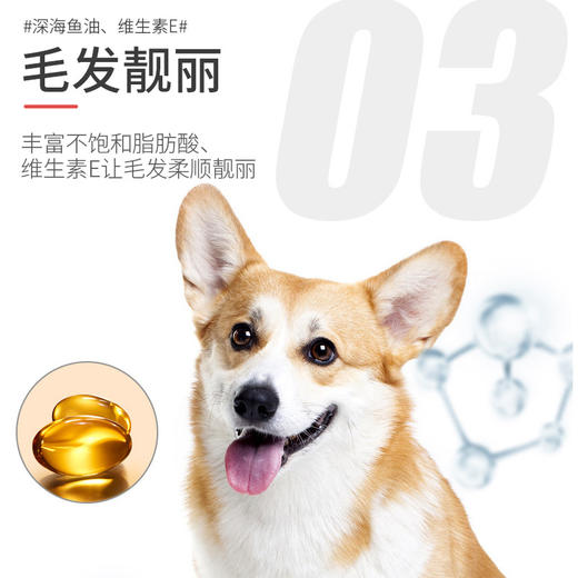 麦斯蒂营养膏120g化毛膏 猫咪狗狗保健品保健品批发 商品图3