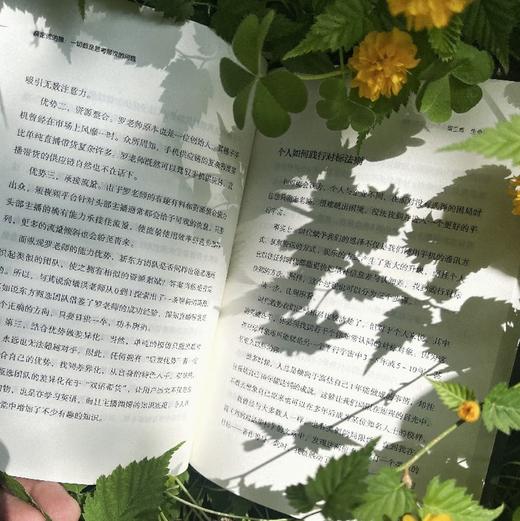 薛定谔的猫：一切都是思考层次的问题 商品图4