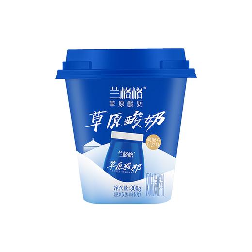 兰格格300g乌兰察布酸奶 商品图1