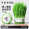 【爆款热卖】俘获F2轻松猫草盆栽种植助化毛懒人猫草猫薄荷猫咪零食用品 商品缩略图0