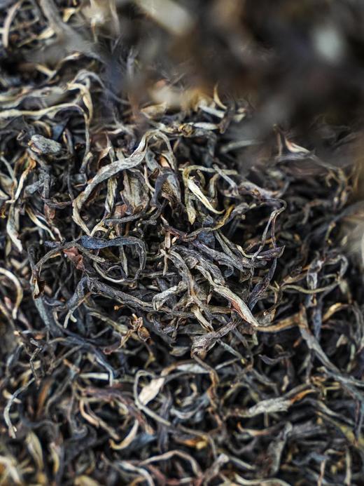 【天门山原生种】2025年春茶天门山蕞古老的品种，未经人工栽培等年终超级回馈，老茶客别错过 商品图2