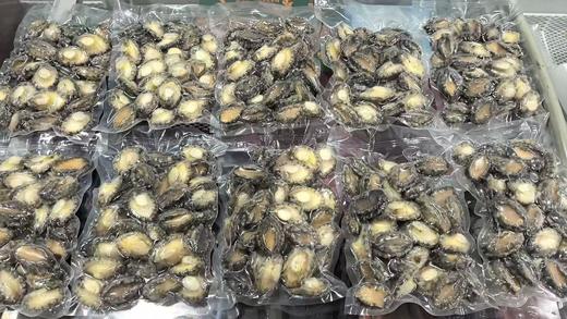 冻鲍鱼肉500g/袋，全部活鲍鱼加工， 在鲜活状态下快速冷冻处理，不缩水，高品质口感好，最大程度保留鲜度和营养，东三省包邮 商品图2