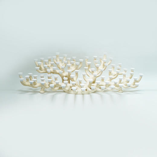 150缸枝状烧制造景 商品图6