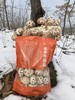 供港花菇，港款雪中冬花菇 拥有素鲍鱼之美誉 深山栎木与山泉水滋养 菇粉厚实 一斤干能泡7-8斤 去菇柄发货基地直邮 商品缩略图3