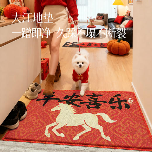 【大江地垫】耐磨耐蹭 防滑贴地久用不褪色 喜庆好运全年围绕 预售3天（周末不发） 商品图0