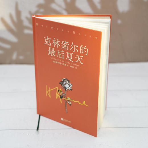 克林索尔的最后夏天 商品图4