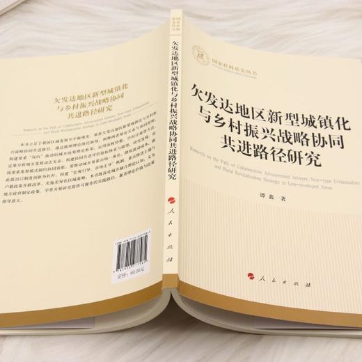 欠发达地区新型城镇化与乡村振兴战略协同共进路径研究 商品图3