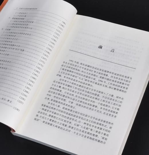 【绝版】《汉语方言语音的演变和层次》（修订本），32开平装，王福堂著，语文出版社2005年版，售价29元。 商品图3