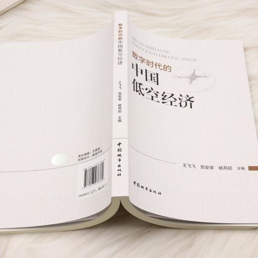 数字时代的中国低空经济 商品图3