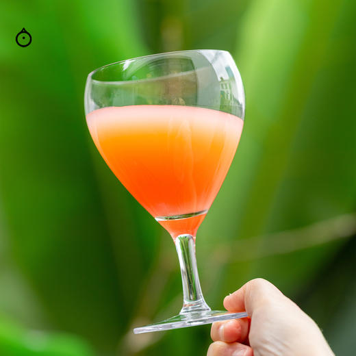 企鹅市集|潘恩 秋月梨红西柚 冰馏气泡果汁 秋月梨X西柚拼配 平衡有层次 商品图4