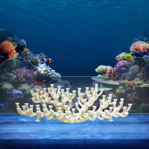 150缸枝状烧制造景 商品图5