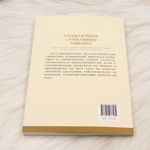 欠发达地区新型城镇化与乡村振兴战略协同共进路径研究 商品图2