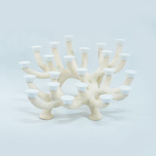 60缸枝状烧制造景 商品图4