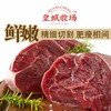 【肉质饱满】皇城牧场 谷饲牛腱子 1kg/袋 精细切割肥瘦相间 商品缩略图0