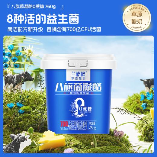 兰格格760g0蔗糖八旗菌凝酪 商品图1