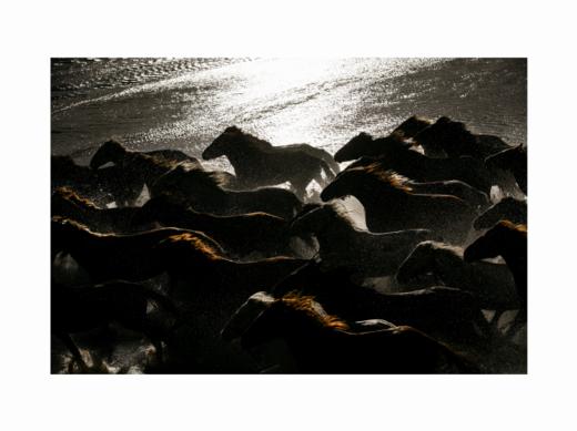 张耕畦丨一马当先 收藏级礼品照片 商品图2