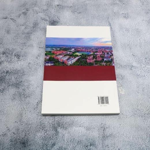 职业教育赋能共同富裕的理论与浙江实践 商品图2