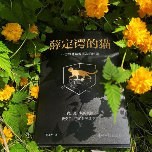 薛定谔的猫：一切都是思考层次的问题 商品图1