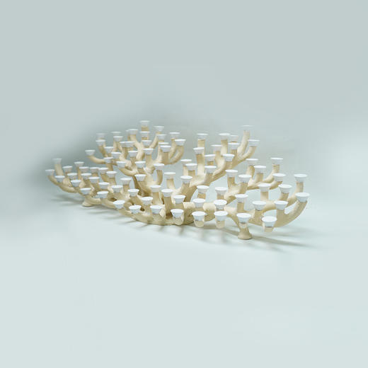 150缸枝状烧制造景 商品图8