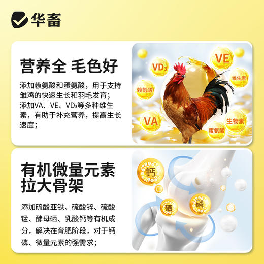 华畜禽健500g 禽用催肥促长 商品图4