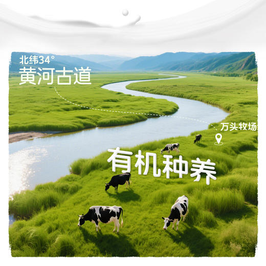 归一有机纯牛奶250mL*12盒*2箱全脂灭菌100%生牛乳礼盒整箱装 商品图3