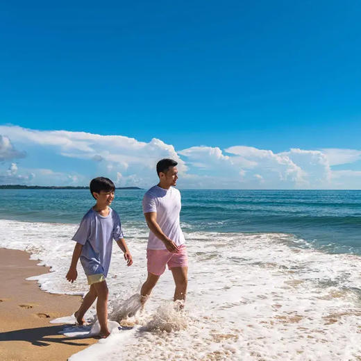 新山安纳塔拉迪沙鲁海岸别墅度假村 商品图3