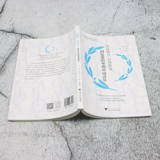 国际舞台 世界担当:国际组织里的中国青年 商品图3