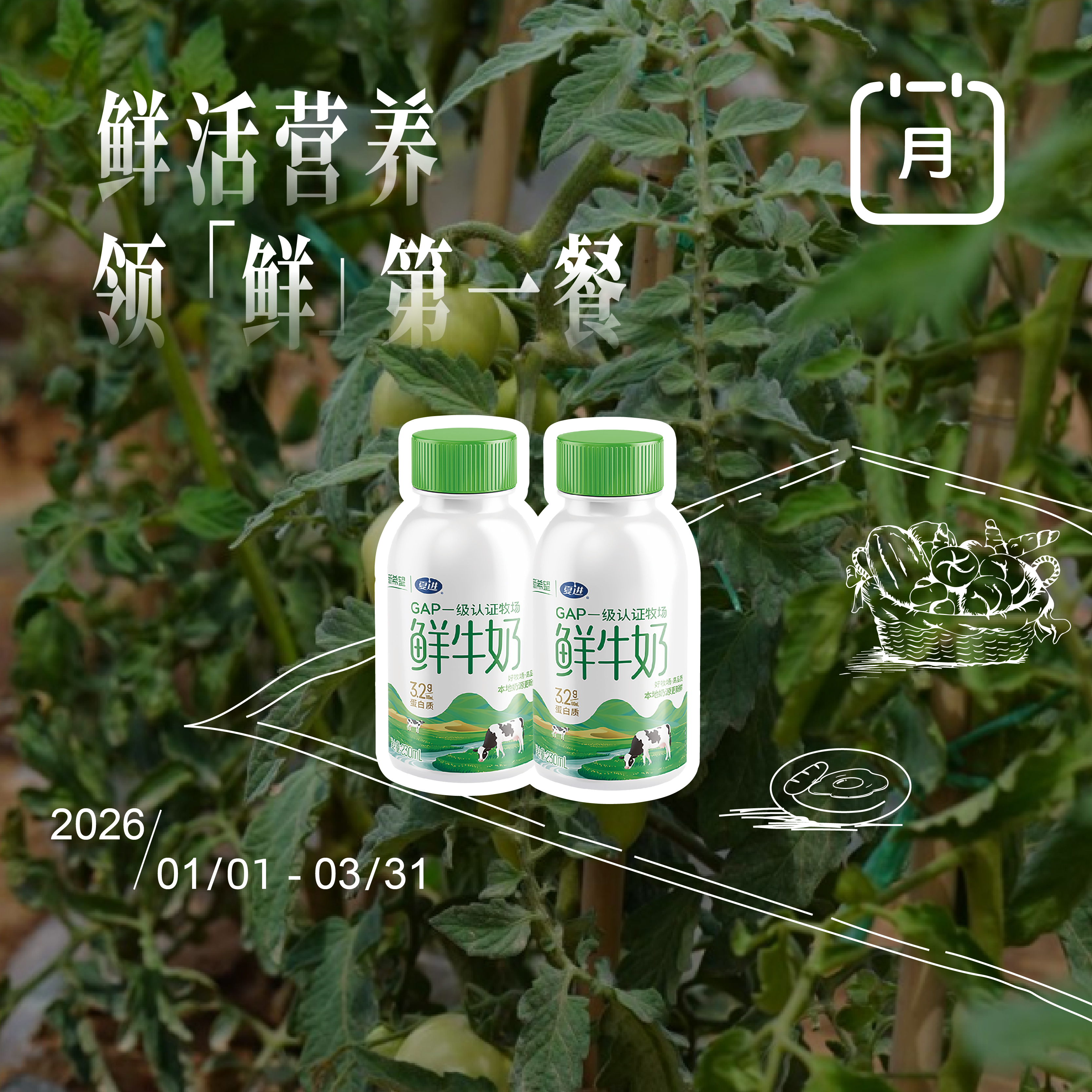 「银川本地日配服务」夏进瓶装巴氏奶 230ml/瓶 其他地区下单请联系客服